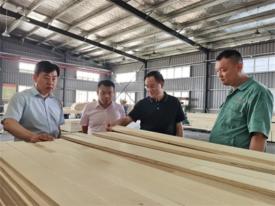 攜手共進，共筑未來——熱烈歡迎中國木材保護工業(yè)協(xié)會會長劉能文一行蒞臨福慶參觀考察指導